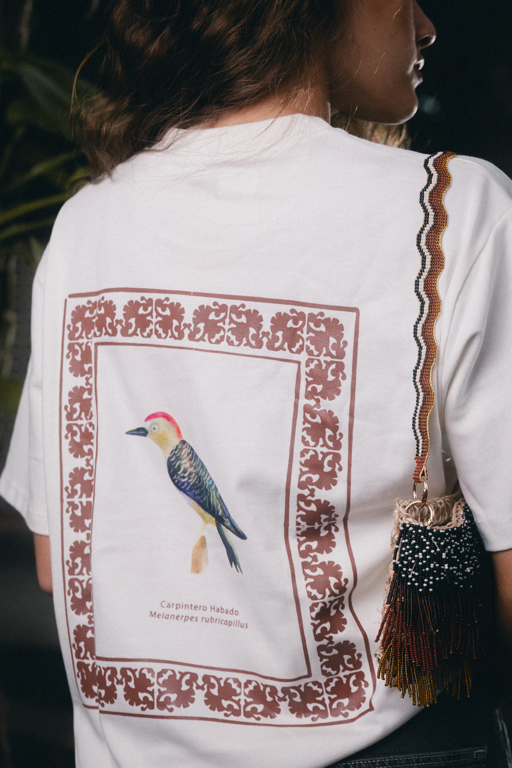 Camiseta Vuelo Café