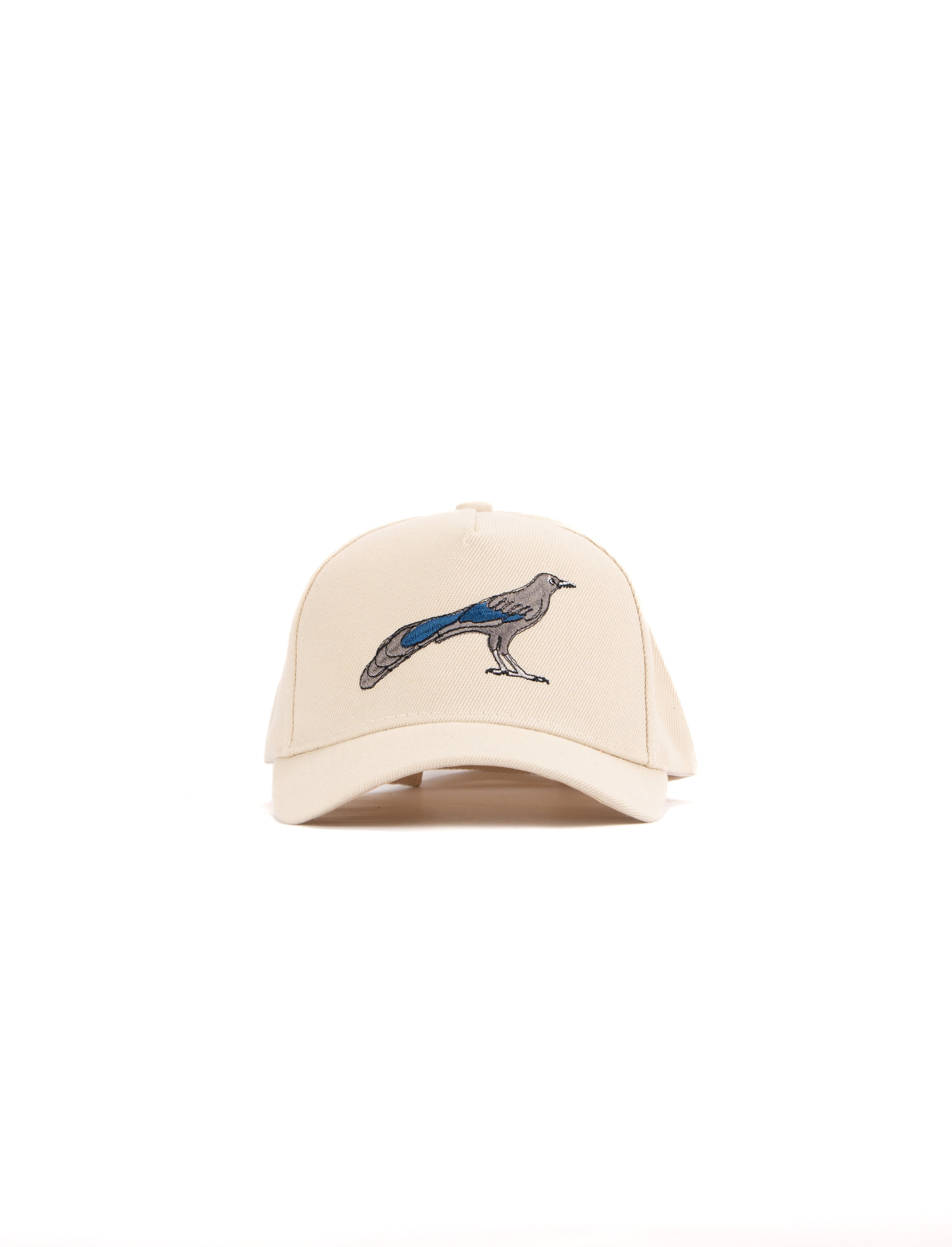 Gorra Vuelo Negro